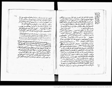 Manuscript Image