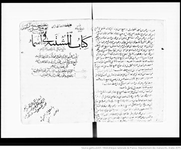 Manuscript Image