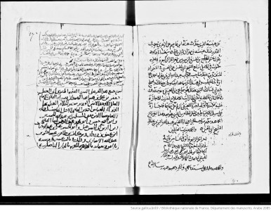 Manuscript Image