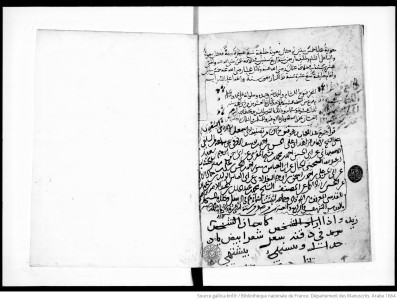 Manuscript Image