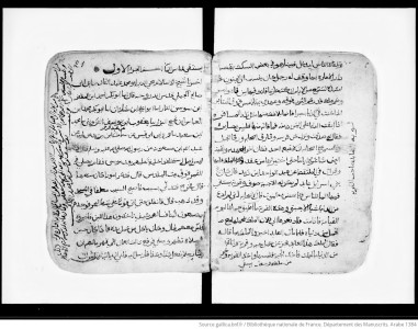 Manuscript Image